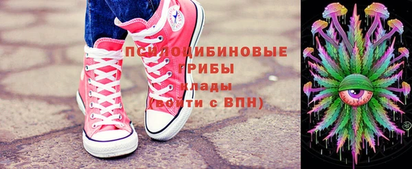 дживик Баксан